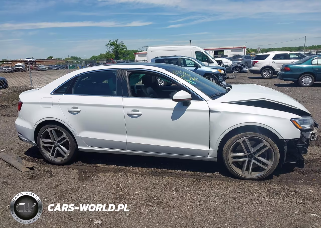 2019 Audi A3 45 Premium VIN:WAUBEGFF1K1017317 - 13
