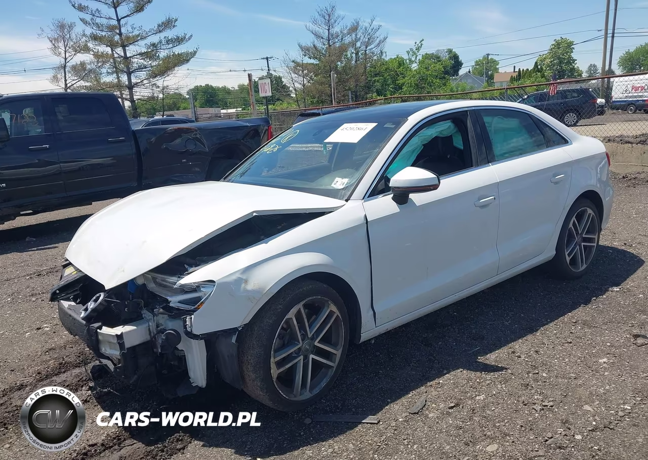 2019 Audi A3 45 Premium VIN:WAUBEGFF1K1017317 - 2