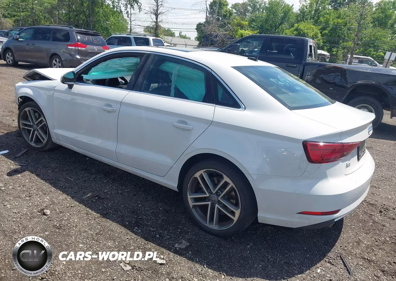 2019 Audi A3 45 Premium VIN:WAUBEGFF1K1017317 - 3