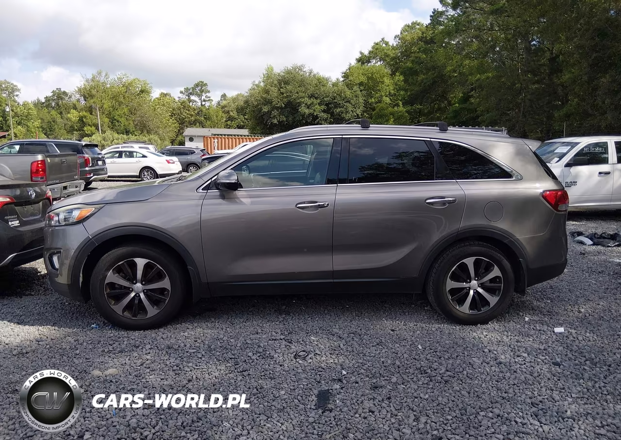 2016 Kia Sorento 2.0T Ex VIN:5XYPH4A15GG185477 - 14