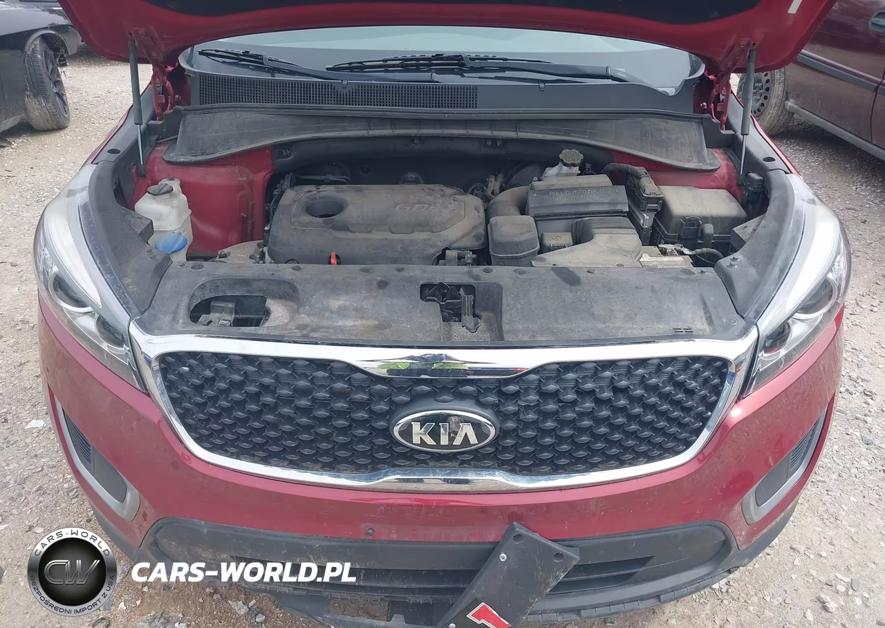 2016 Kia Sorento 2.4L Lx VIN:5XYPG4A3XGG181154 - 10