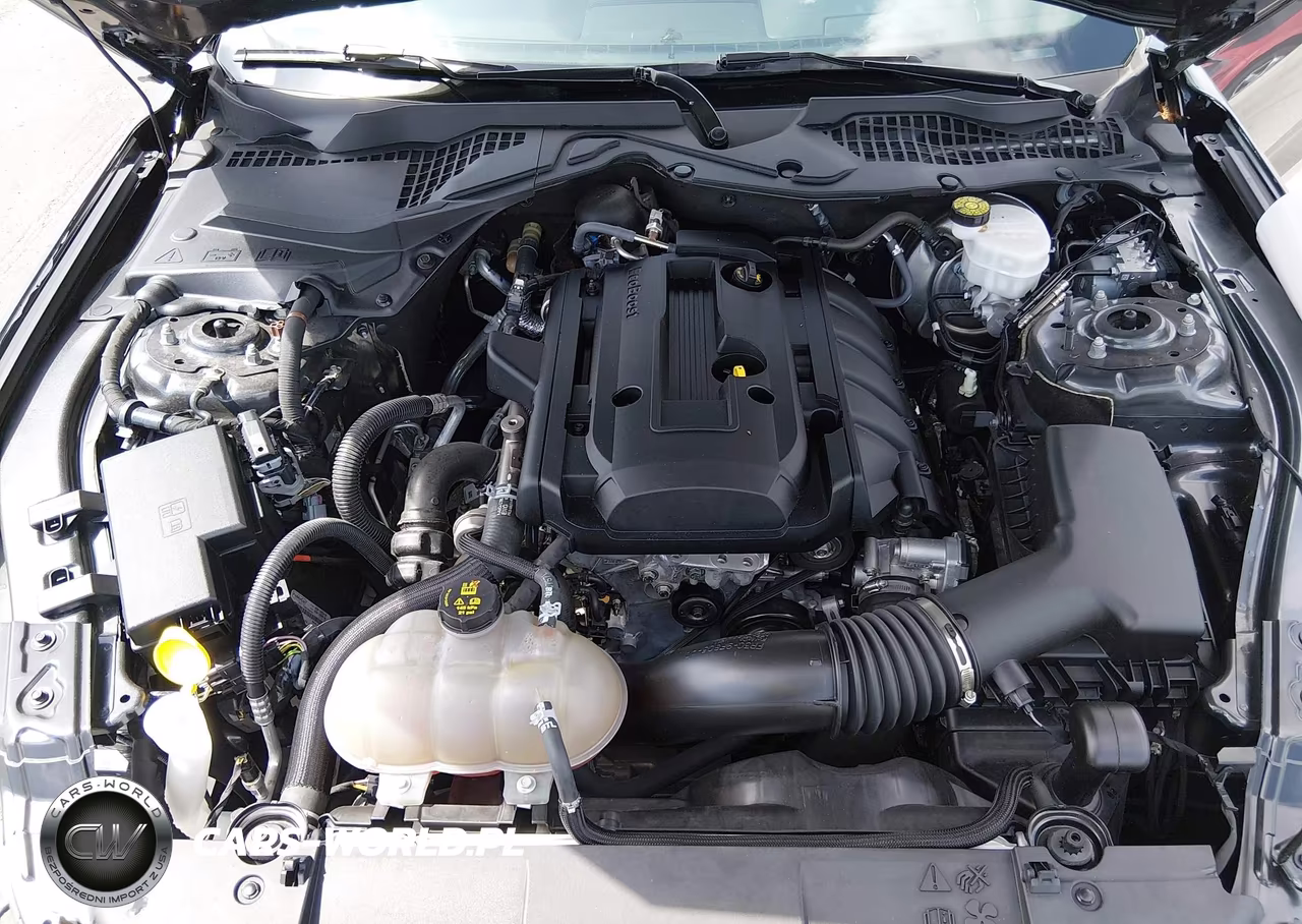 2019 Ford Mustang Ecoboost VIN:1FA6P8TH8K5122350 - 10
