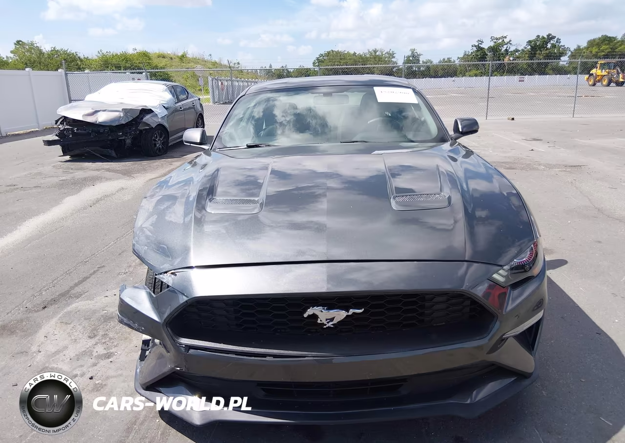 2019 Ford Mustang Ecoboost VIN:1FA6P8TH8K5122350 - 12