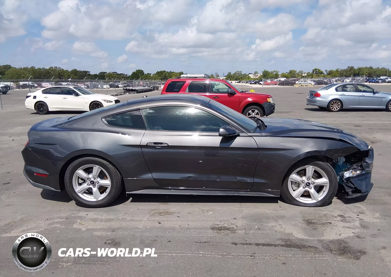 2019 Ford Mustang Ecoboost VIN:1FA6P8TH8K5122350 - 13