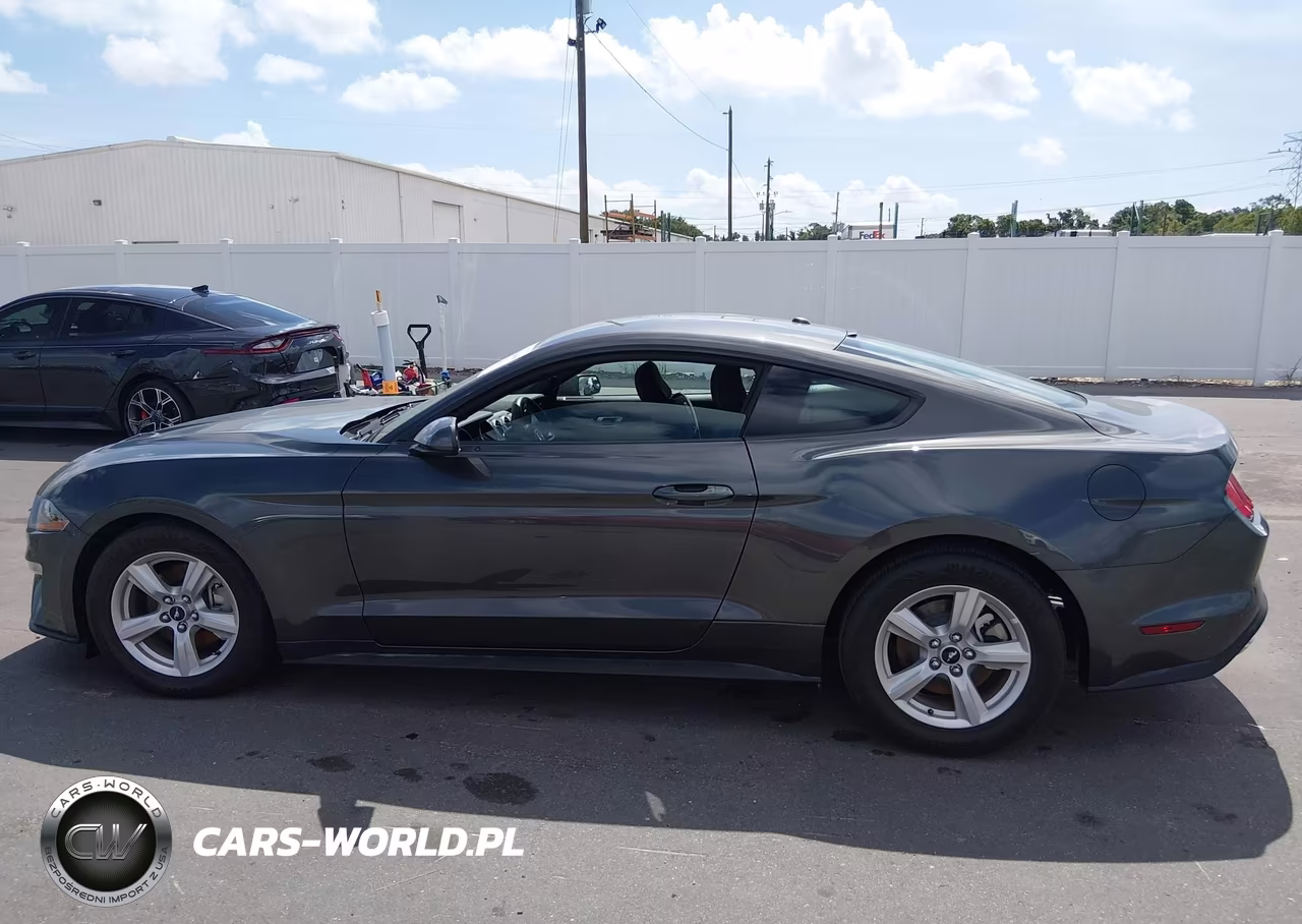 2019 Ford Mustang Ecoboost VIN:1FA6P8TH8K5122350 - 14