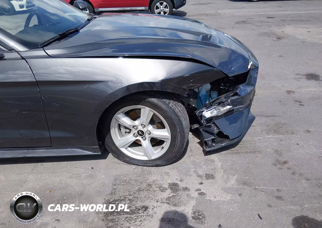 2019 Ford Mustang Ecoboost VIN:1FA6P8TH8K5122350 - 17
