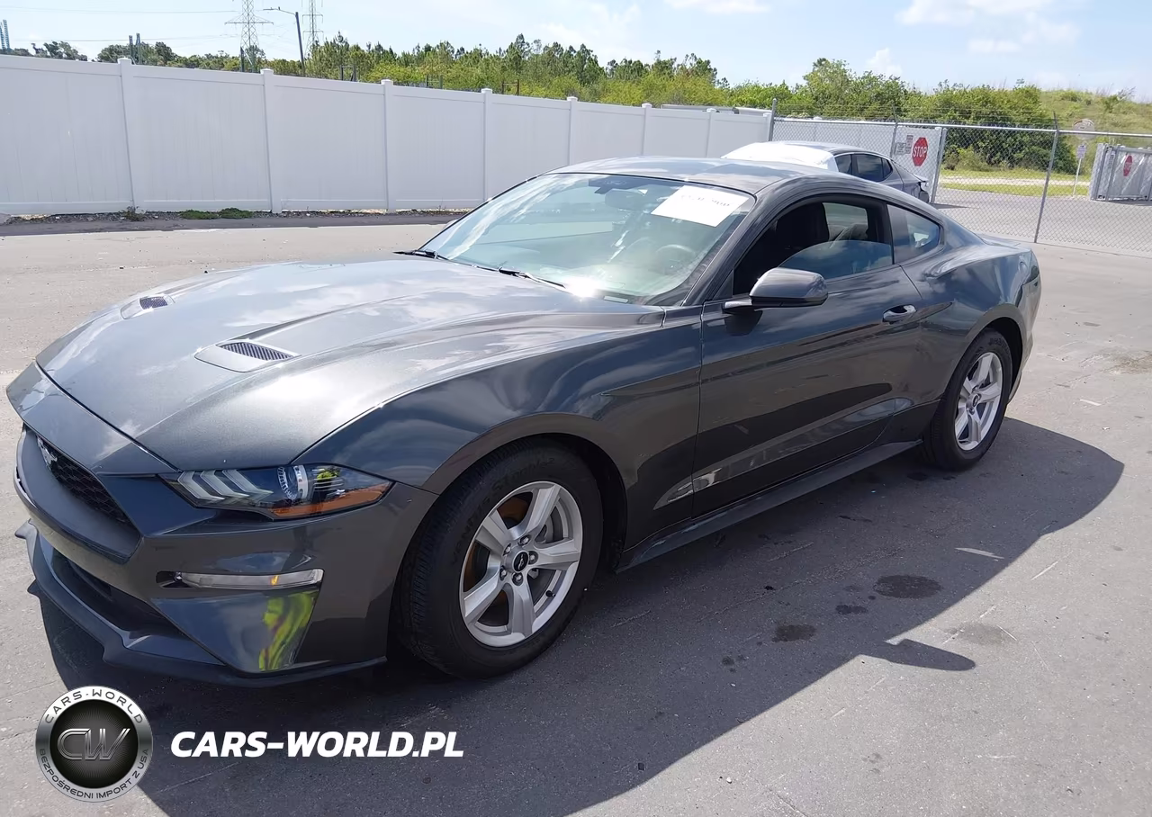 2019 Ford Mustang Ecoboost VIN:1FA6P8TH8K5122350 - 2