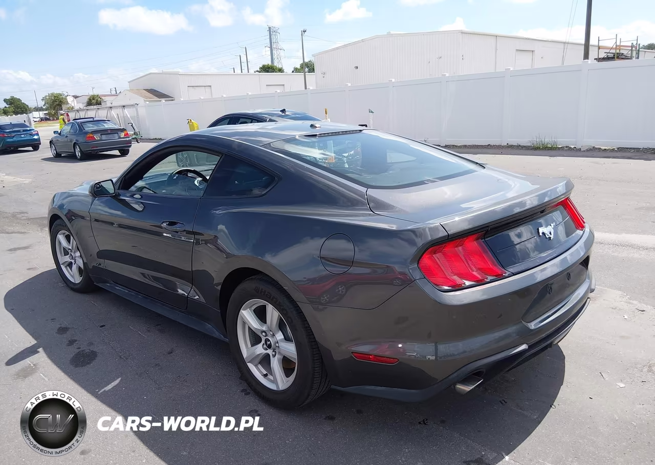 2019 Ford Mustang Ecoboost VIN:1FA6P8TH8K5122350 - 3