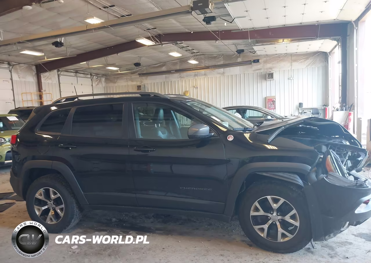 2017 Jeep Cherokee Trailhawk 4X4 VIN:1C4PJMBS0HW513176 - 13