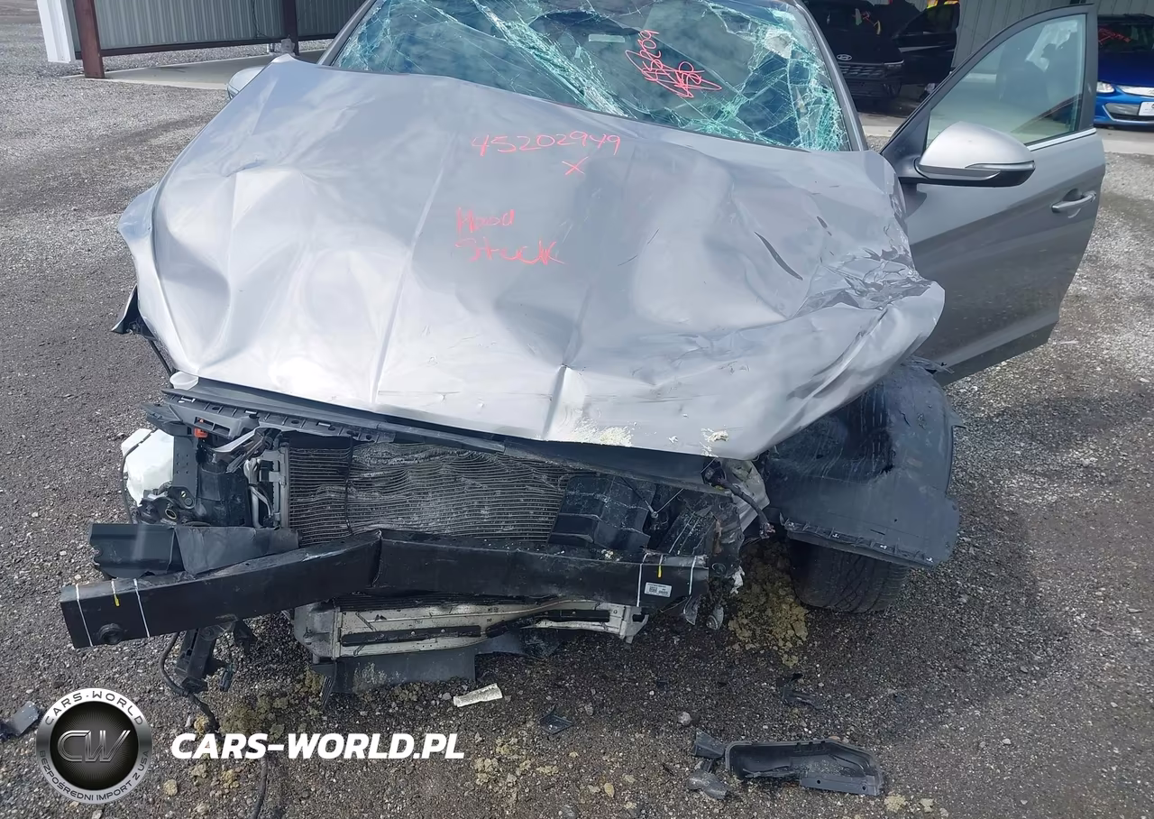 2020 Hyundai Elantra Sport VIN:KMHD04LBXLU084441 - 6