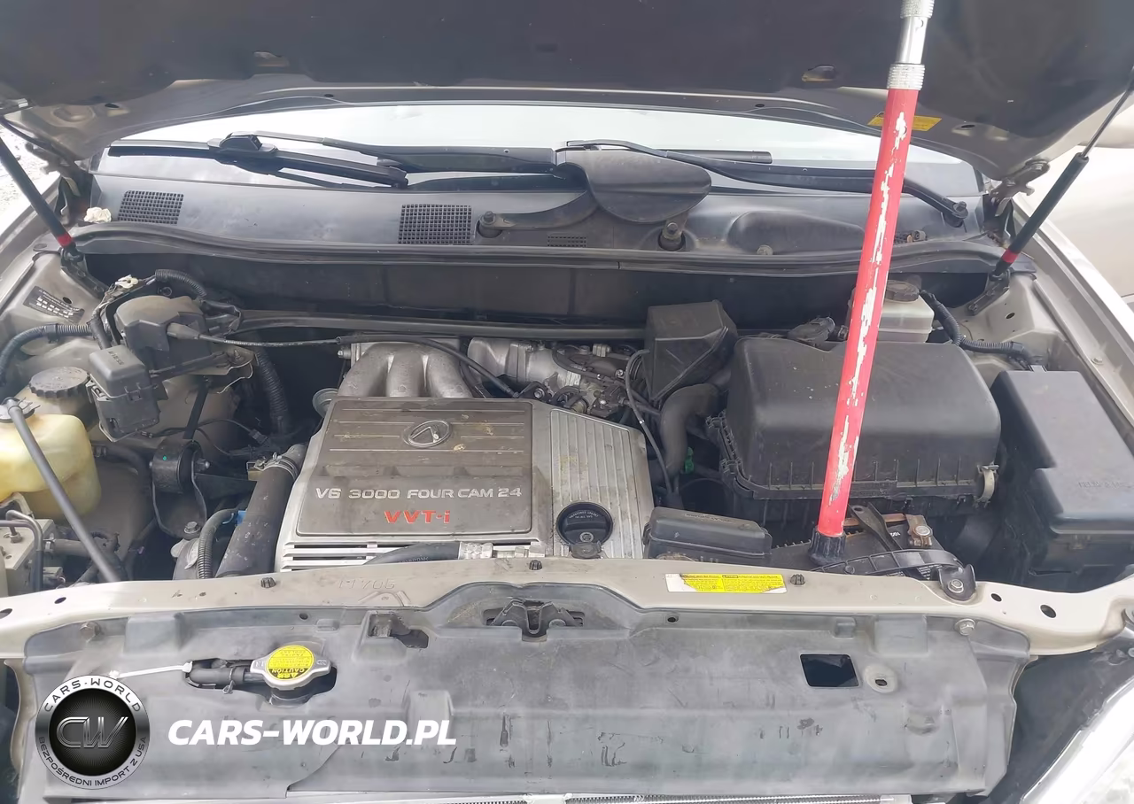2003 Lexus Rx 300 VIN:JTJGF10UX30161530 - 10