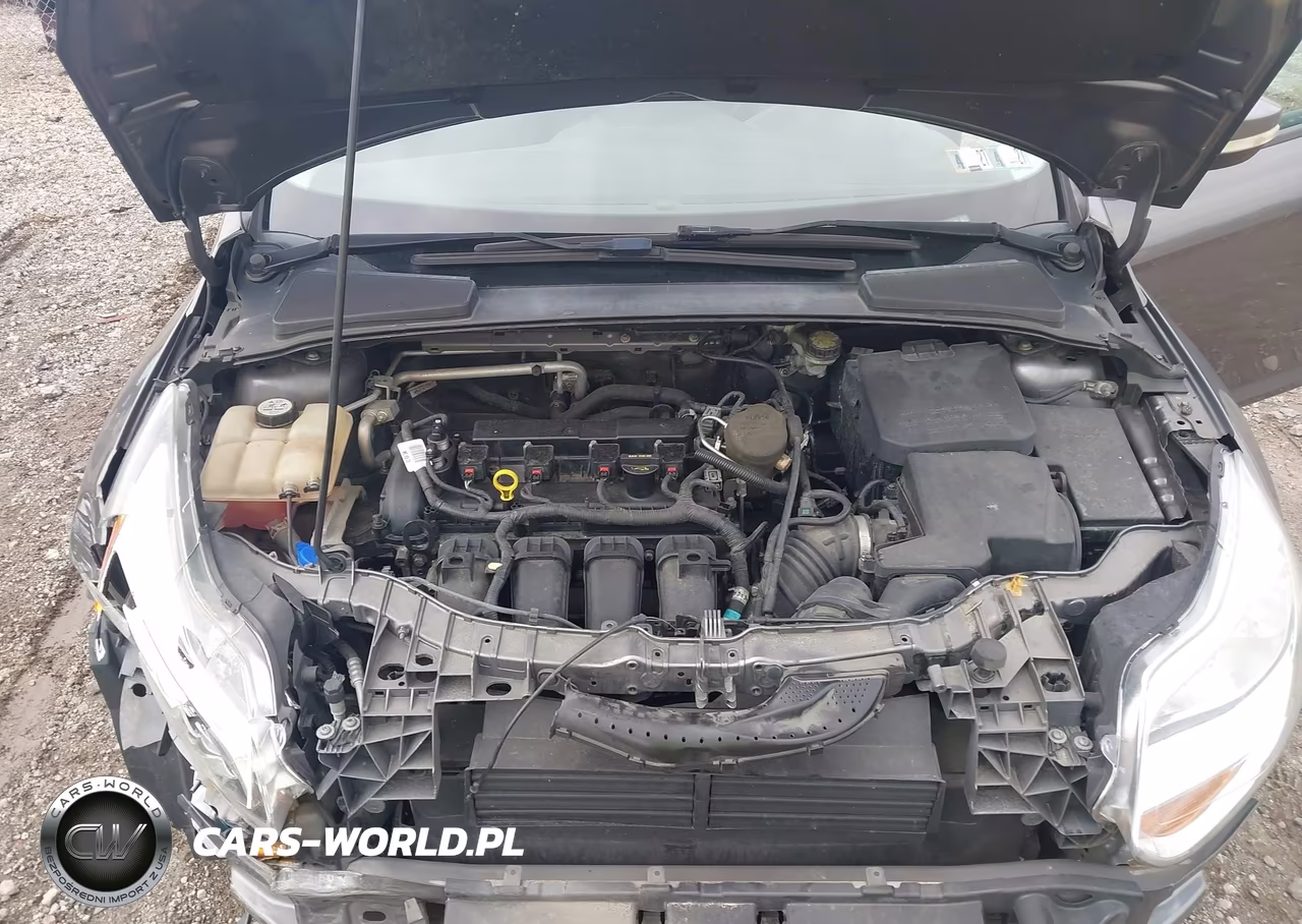 2013 Ford Focus Se VIN:1FADP3F28DL341230 - 10