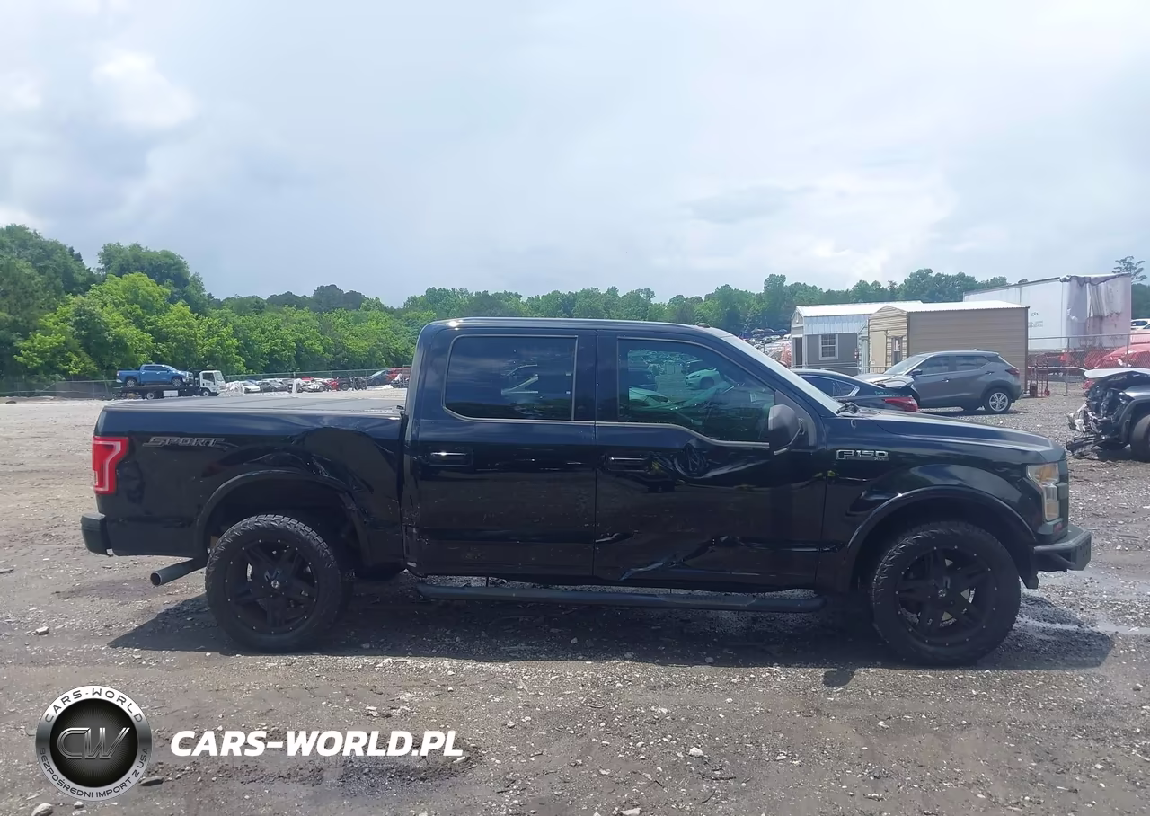 2016 Ford F-150 Xlt VIN:1FTEW1CF1GFC25898 - 14