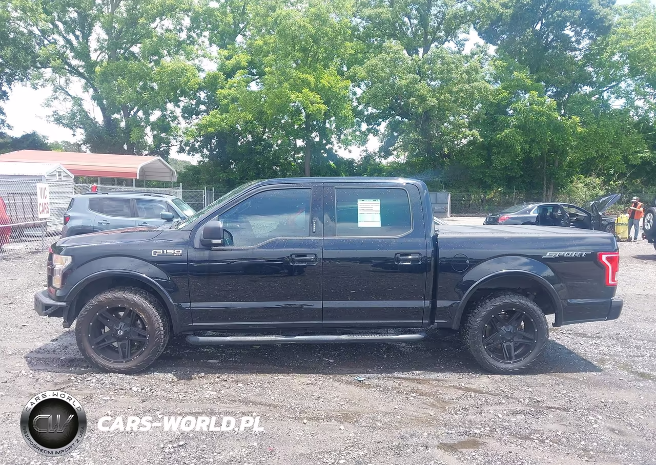 2016 Ford F-150 Xlt VIN:1FTEW1CF1GFC25898 - 15