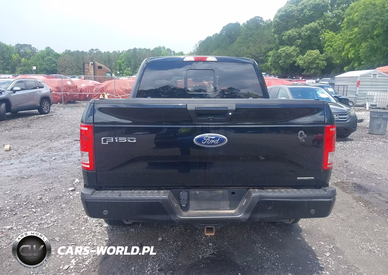 2016 Ford F-150 Xlt VIN:1FTEW1CF1GFC25898 - 17