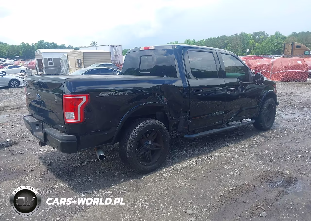 2016 Ford F-150 Xlt VIN:1FTEW1CF1GFC25898 - 4