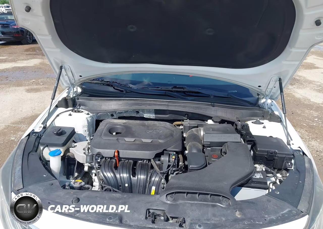 2019 Kia Optima S VIN:5XXGT4L31KG360477 - 10