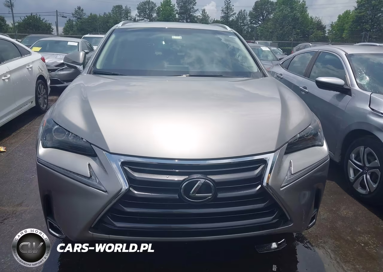2017 Lexus Nx 200T VIN:JTJYARBZ2H2057944 - 12