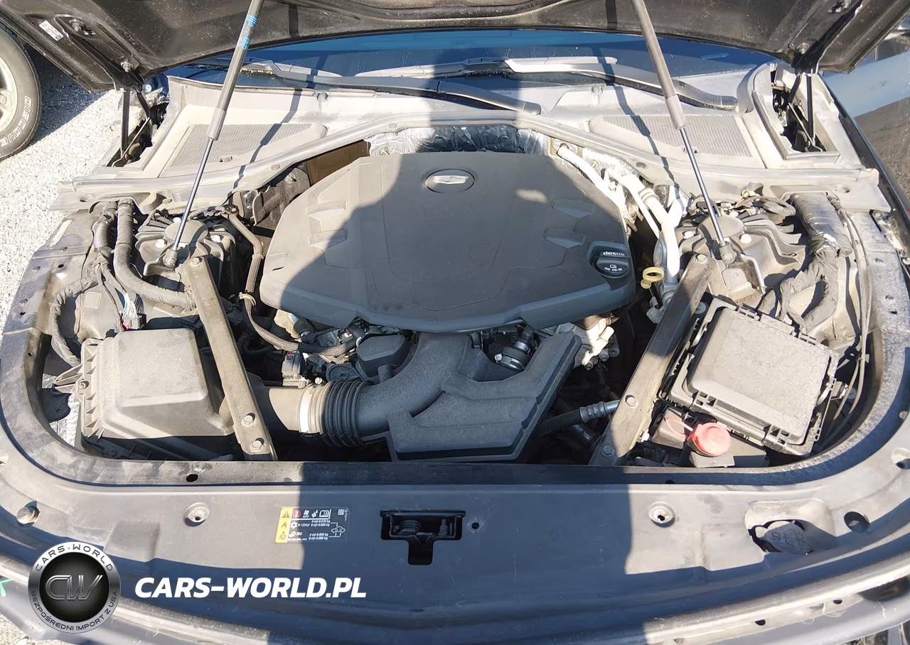 2020 Cadillac Ct6 Awd Premium Luxury VIN:1G6KE5RS2LU102279 - 10