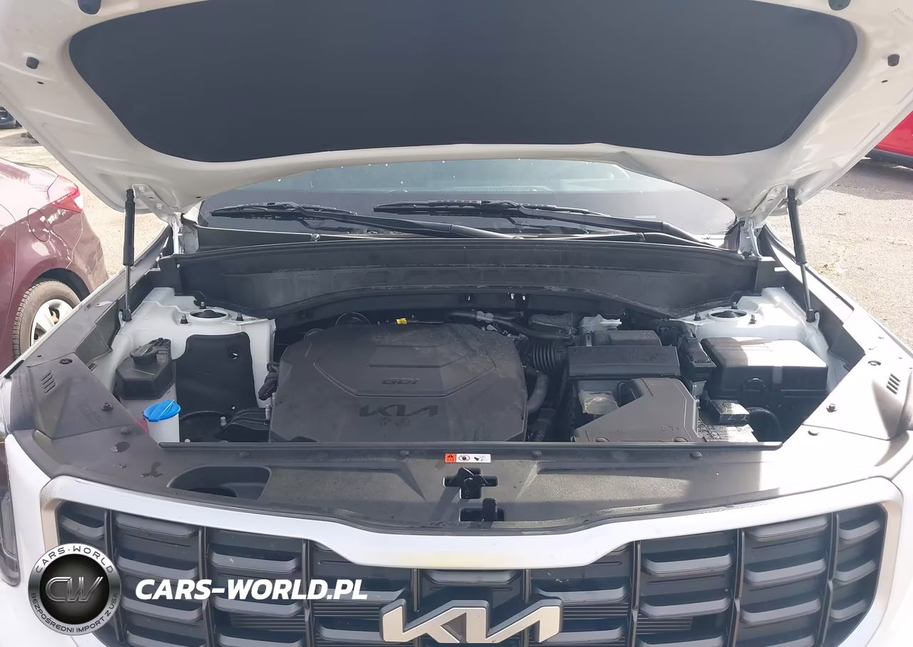 2024 Kia Telluride S VIN:5XYP64GC5RG555621 - 10