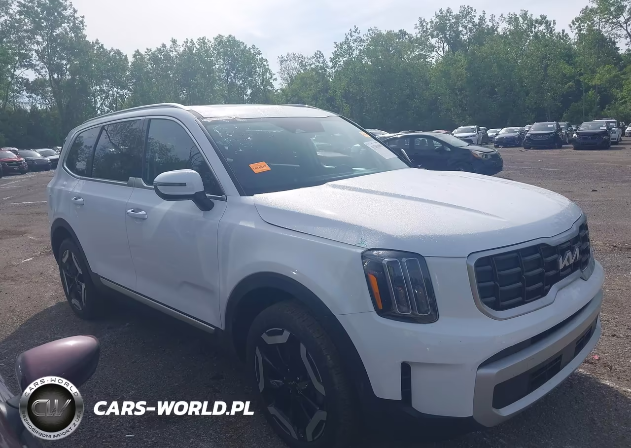 2024 Kia Telluride S VIN:5XYP64GC5RG555621 - 13