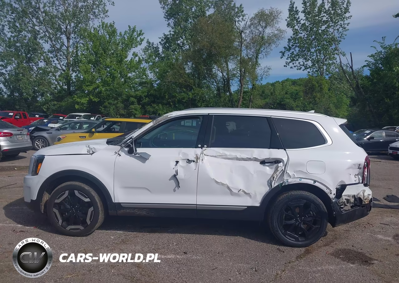 2024 Kia Telluride S VIN:5XYP64GC5RG555621 - 14