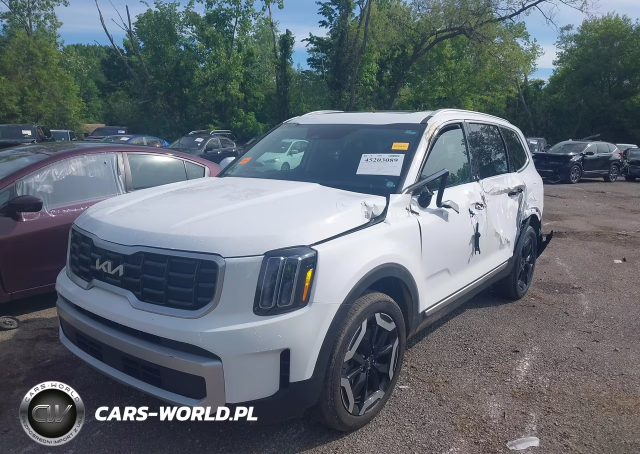 2024 Kia Telluride S VIN:5XYP64GC5RG555621 - 2