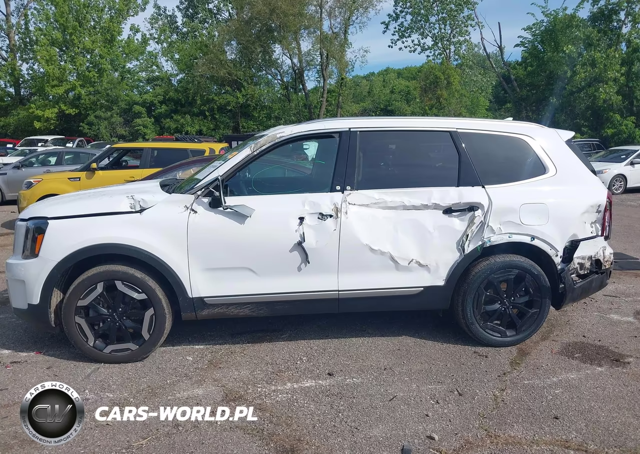 2024 Kia Telluride S VIN:5XYP64GC5RG555621 - 6
