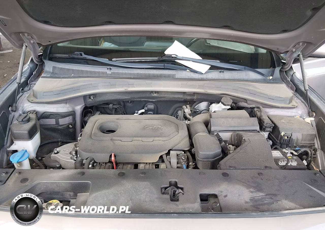 2019 Hyundai Santa Fe Sel Plus VIN:5NMS33AD8KH053891 - 10