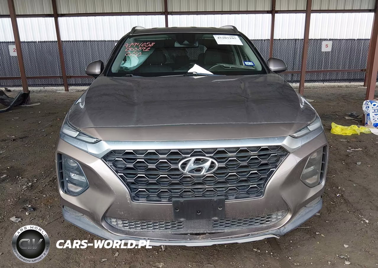 2019 Hyundai Santa Fe Sel Plus VIN:5NMS33AD8KH053891 - 12
