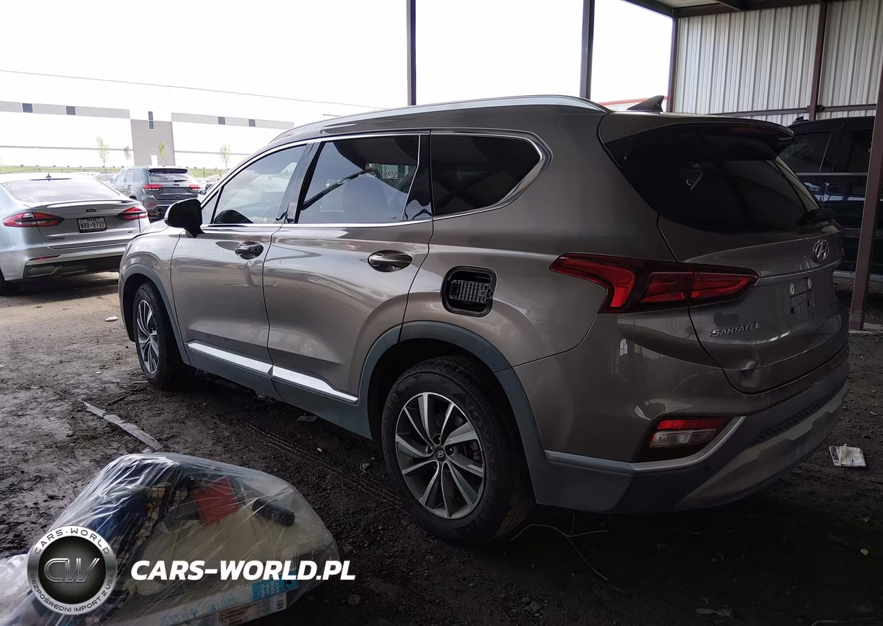 2019 Hyundai Santa Fe Sel Plus VIN:5NMS33AD8KH053891 - 3