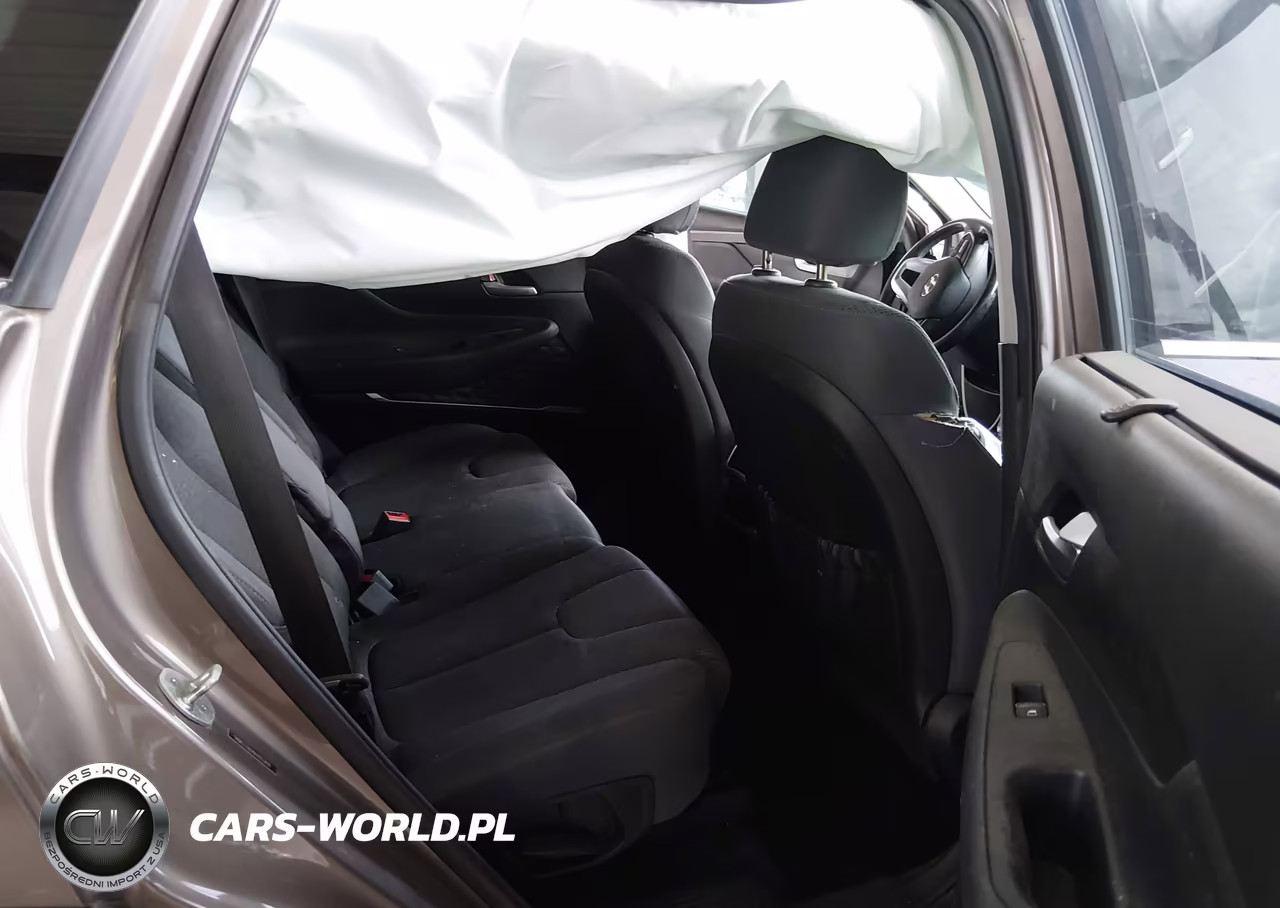 2019 Hyundai Santa Fe Sel Plus VIN:5NMS33AD8KH053891 - 8