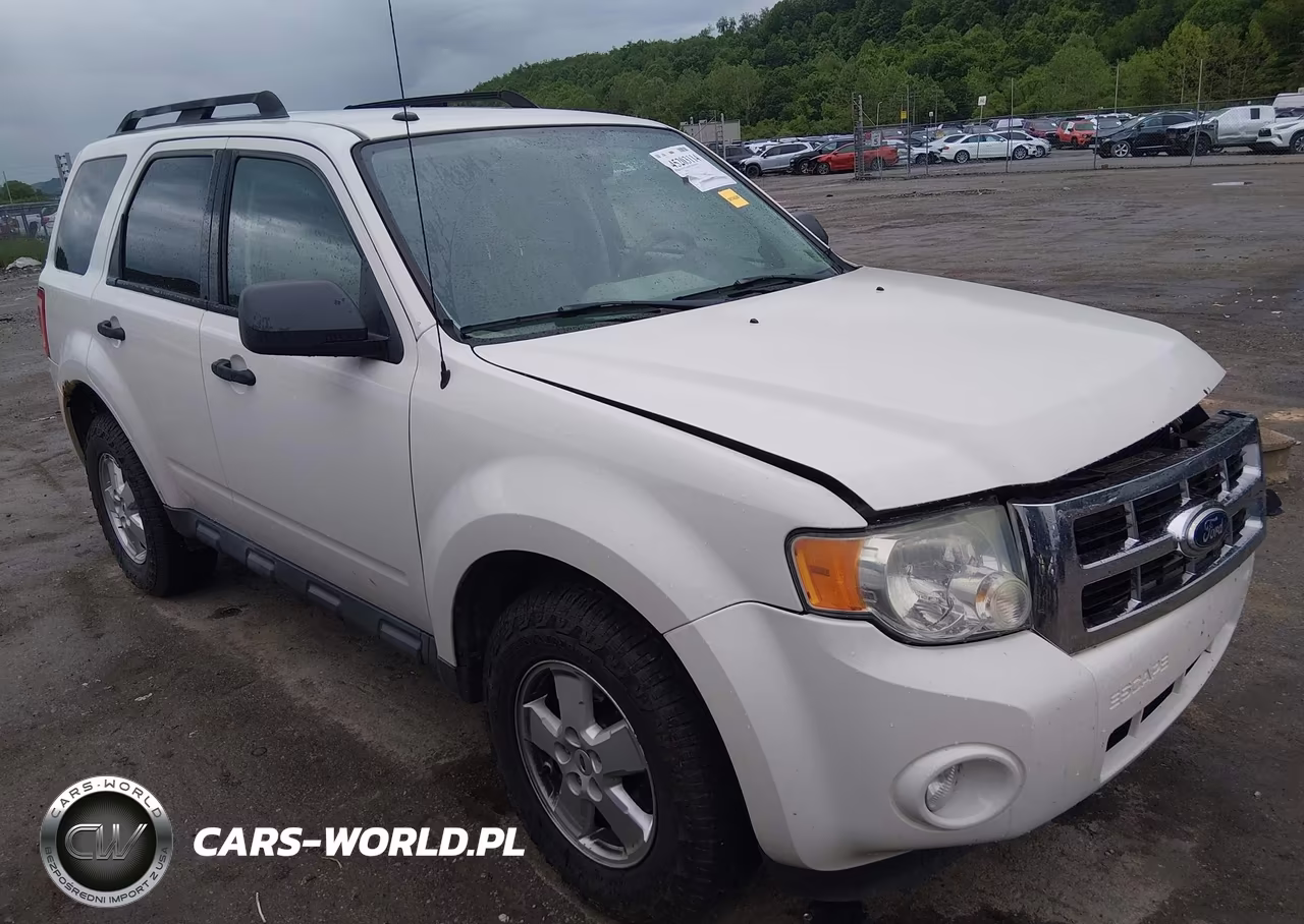 2010 Ford Escape Xlt