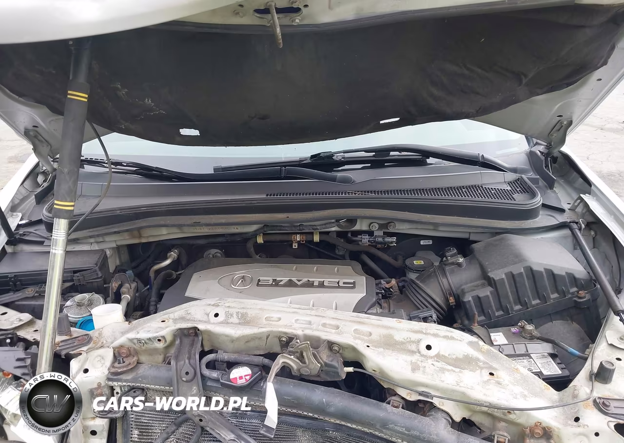 2009 Acura Mdx VIN:2HNYD28289H524671 - 10