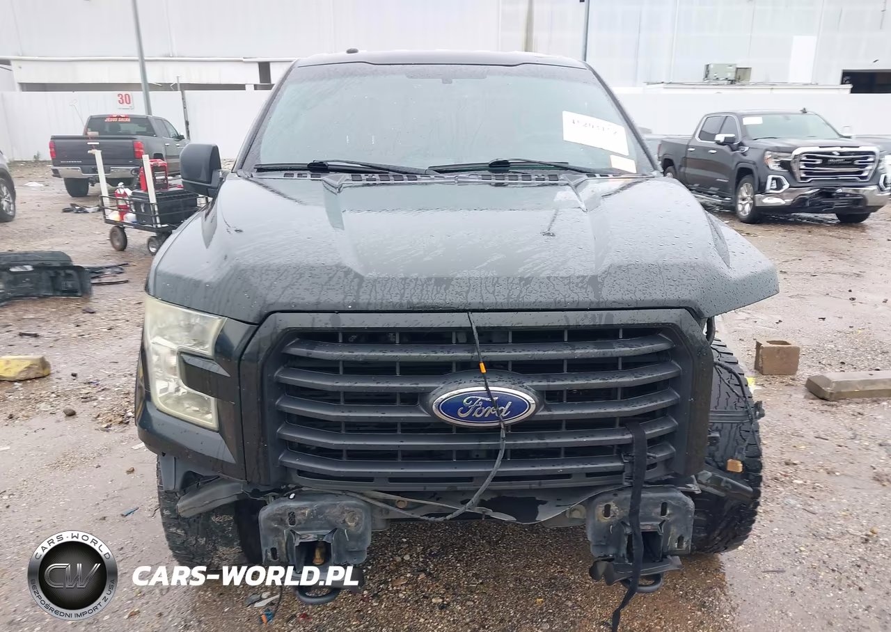 2015 Ford F-150 Xlt VIN:1FTEW1EF3FKE03832 - 13