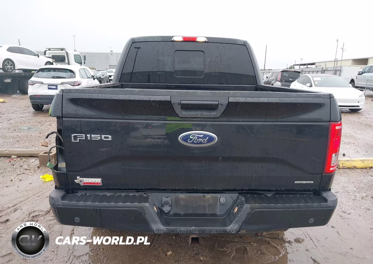 2015 Ford F-150 Xlt VIN:1FTEW1EF3FKE03832 - 17