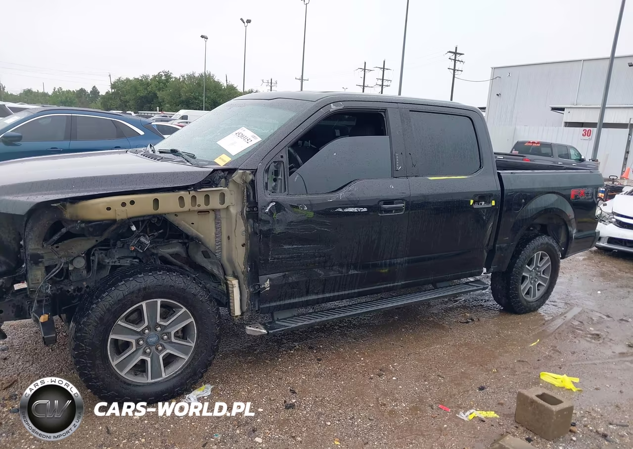 2015 Ford F-150 Xlt VIN:1FTEW1EF3FKE03832 - 18