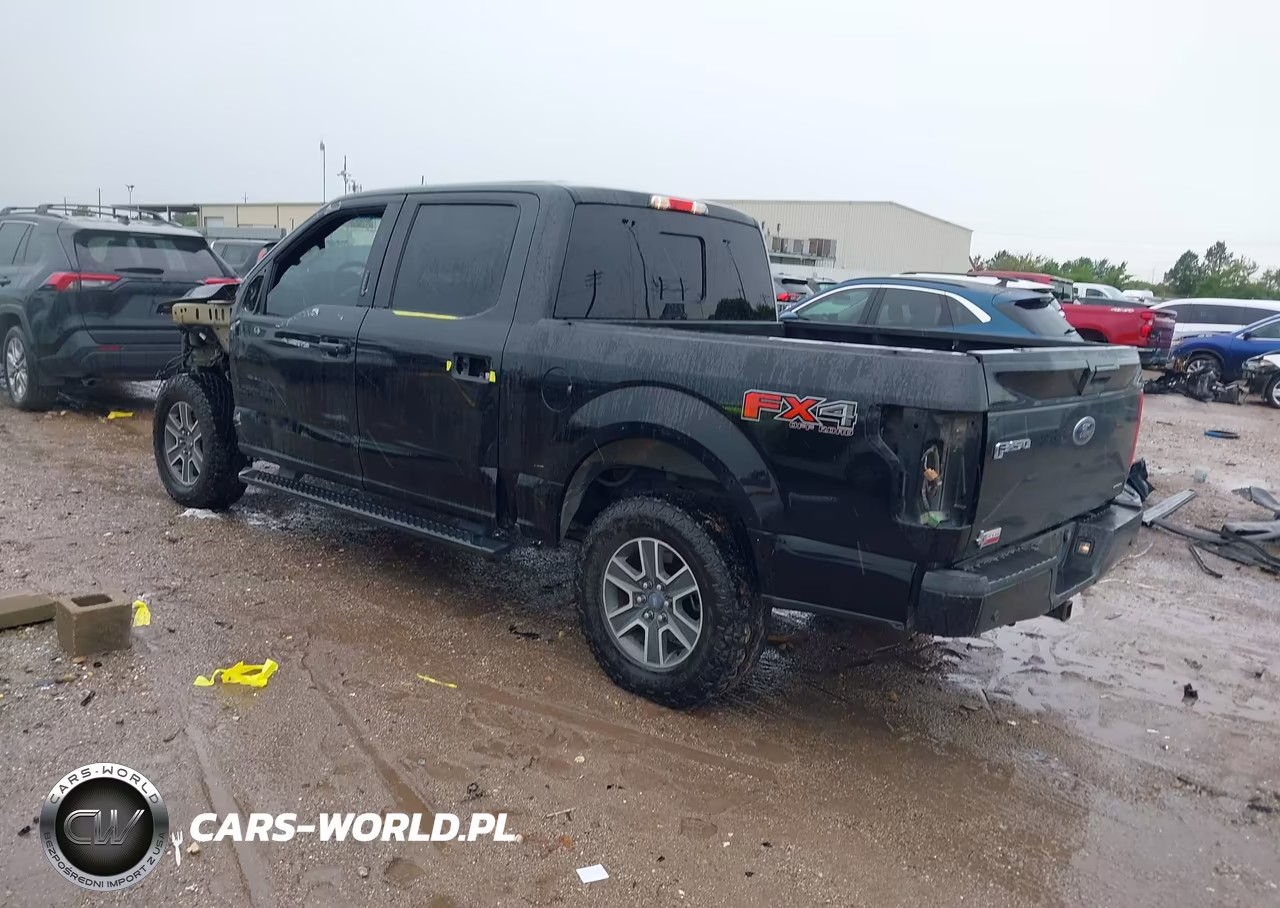 2015 Ford F-150 Xlt VIN:1FTEW1EF3FKE03832 - 3