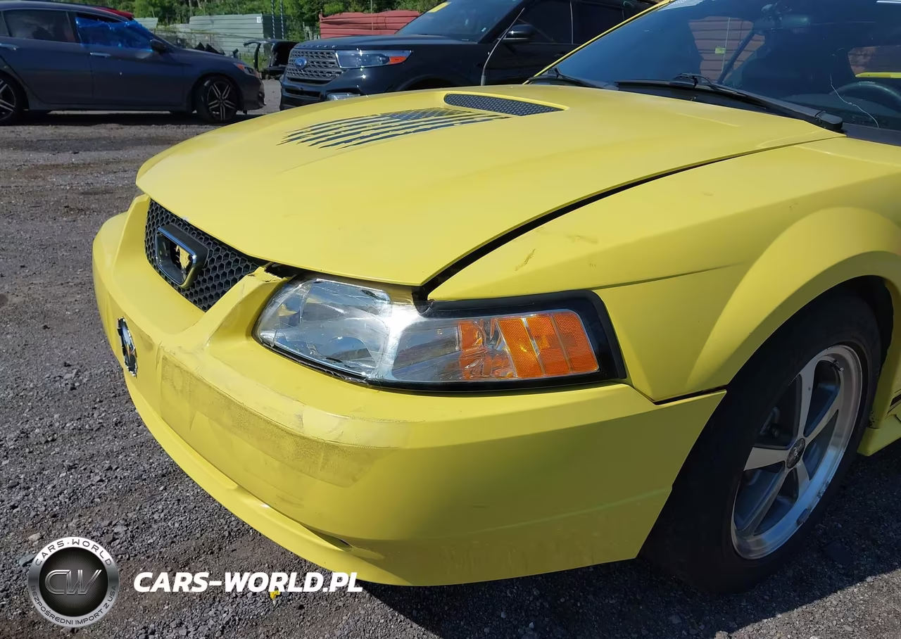 2001 Ford Mustang VIN:1FAFP44431F199169 - 6