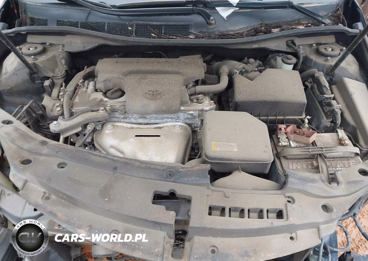 2016 Toyota Camry Se VIN:4T1BF1FKXGU116861 - 10