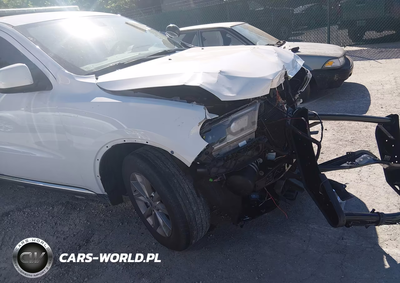 2022 Dodge Durango Pursuit Awd VIN:1C4RDJFG6NC137150 - 17