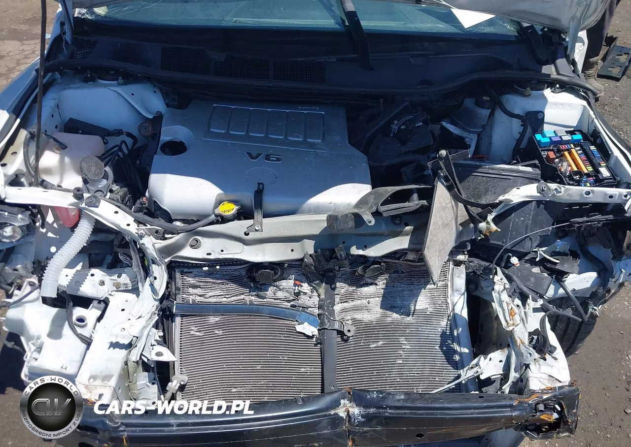 2010 Toyota Venza Base V6 VIN:4T3BK3BB9AU038357 - 10
