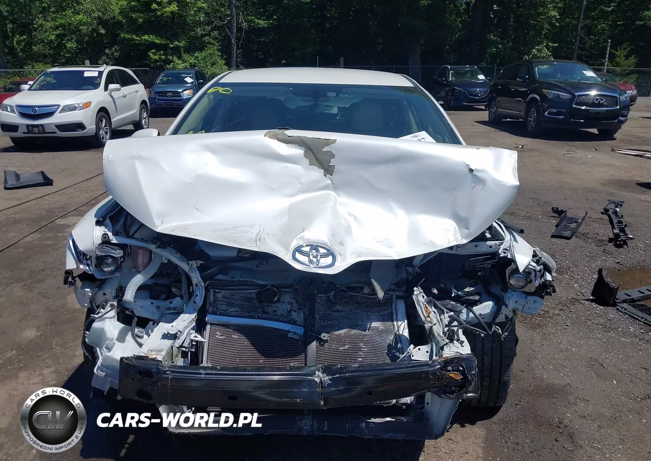 2010 Toyota Venza Base V6 VIN:4T3BK3BB9AU038357 - 12