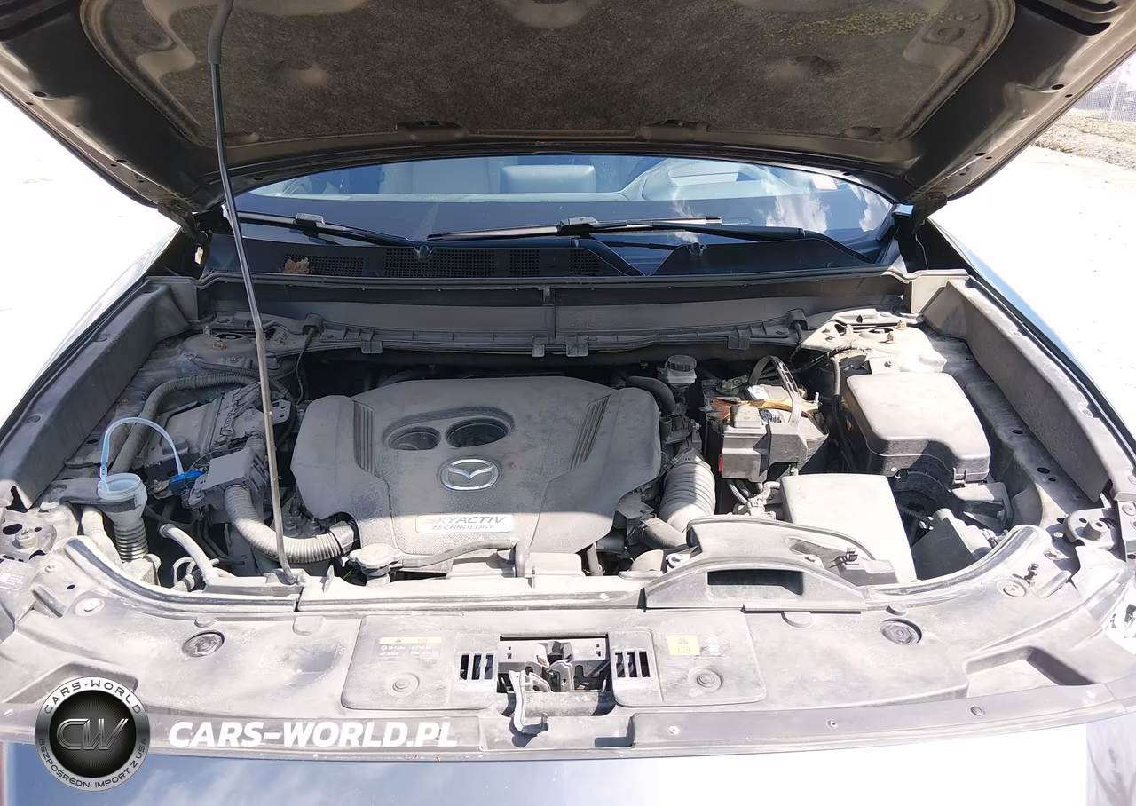 2016 Mazda Cx-9 Grand Touring VIN:JM3TCBDY7G0113672 - 10