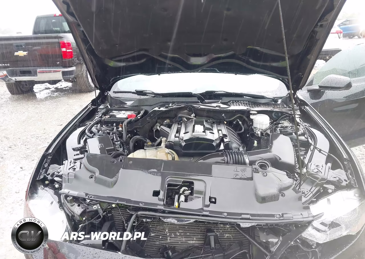 2019 Ford Mustang Ecoboost VIN:1FA6P8TH2K5194001 - 10