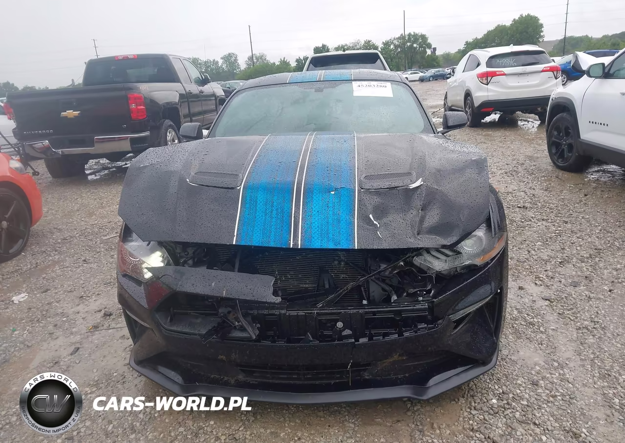2019 Ford Mustang Ecoboost VIN:1FA6P8TH2K5194001 - 12