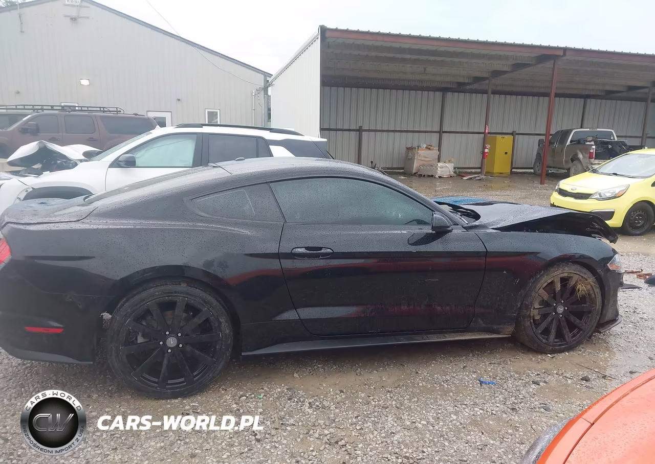 2019 Ford Mustang Ecoboost VIN:1FA6P8TH2K5194001 - 13