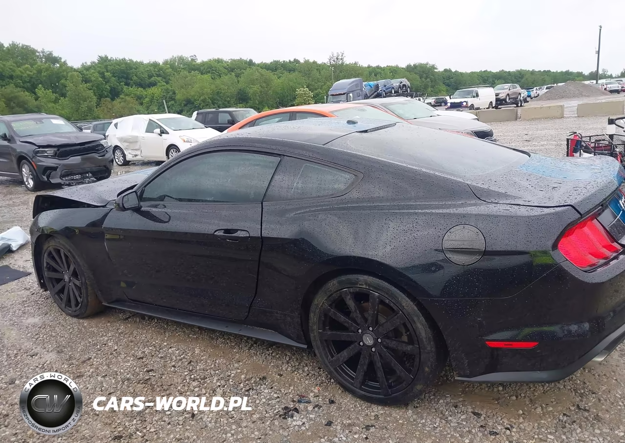 2019 Ford Mustang Ecoboost VIN:1FA6P8TH2K5194001 - 14