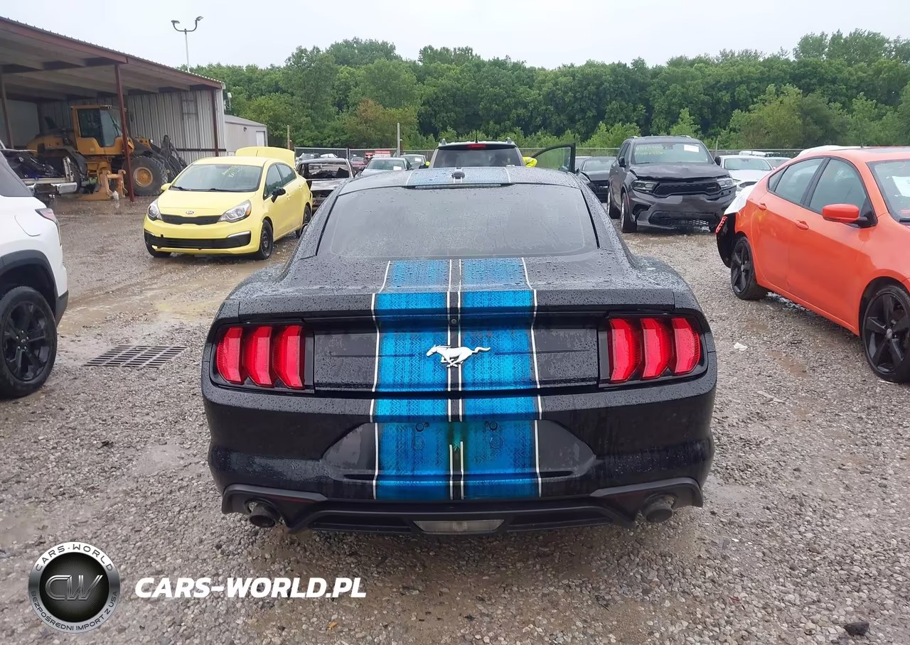 2019 Ford Mustang Ecoboost VIN:1FA6P8TH2K5194001 - 16