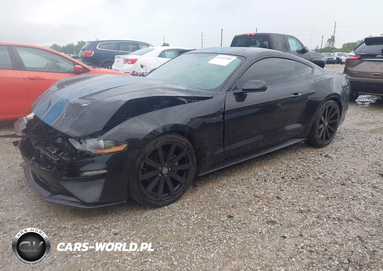 2019 Ford Mustang Ecoboost VIN:1FA6P8TH2K5194001 - 2